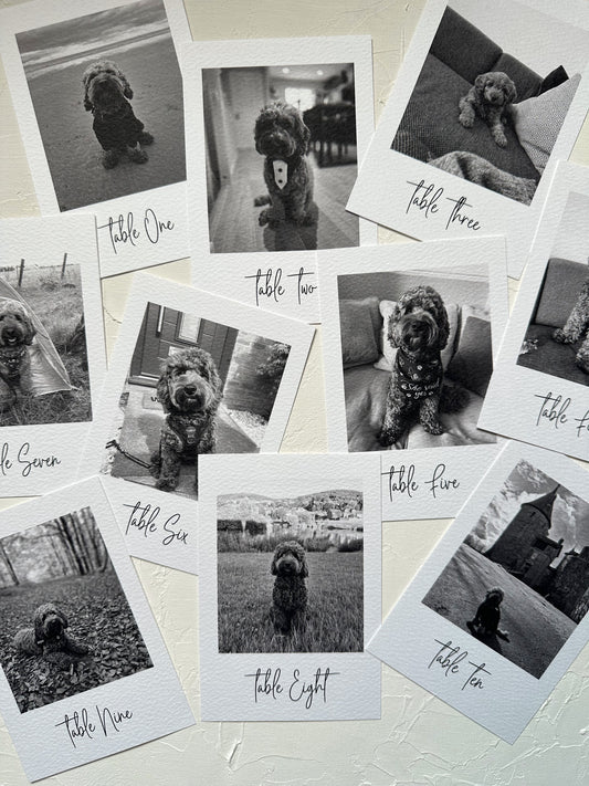 Pet Table Name Cards with Photo